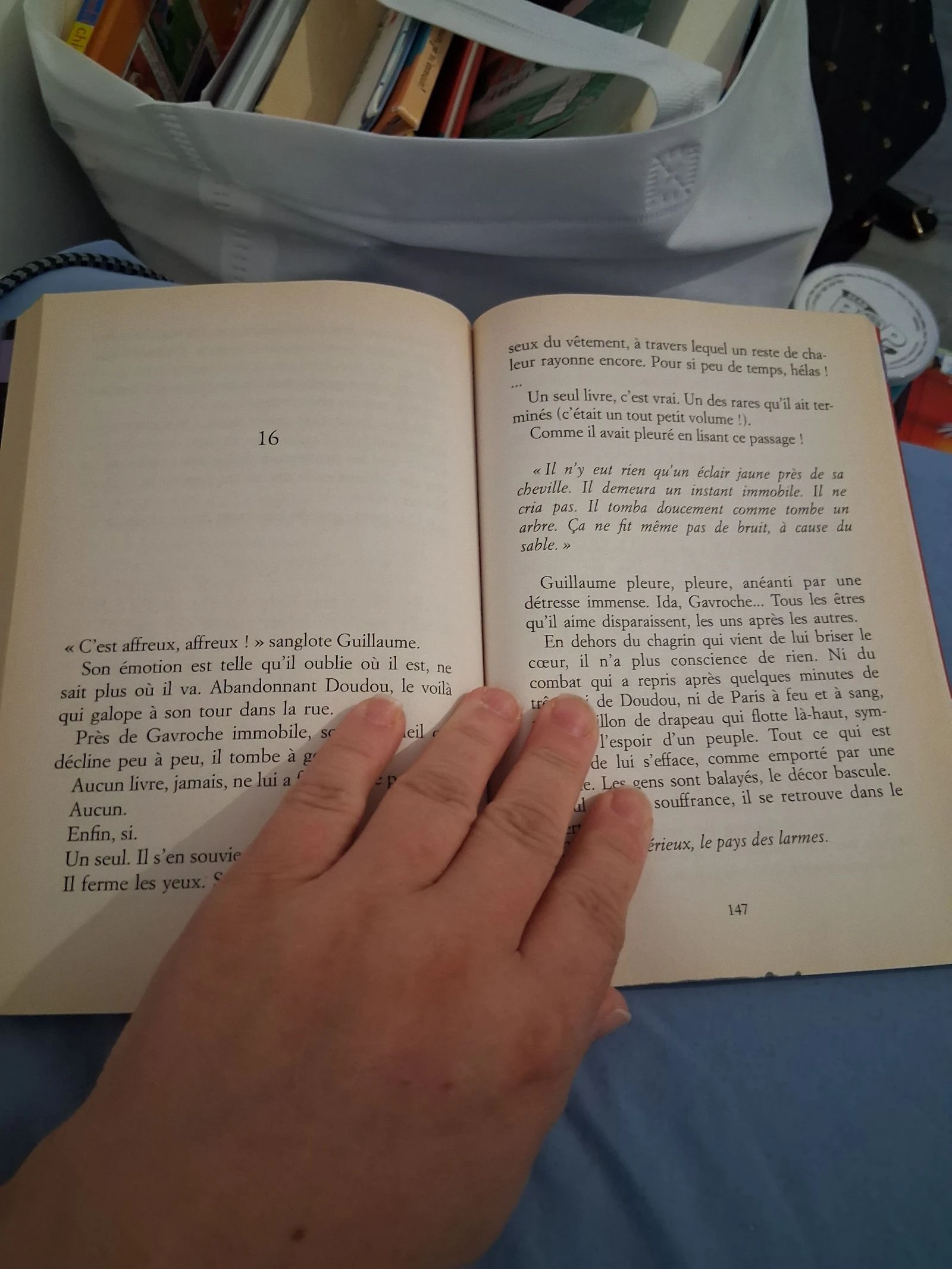 La bibliotecaria – photo 4